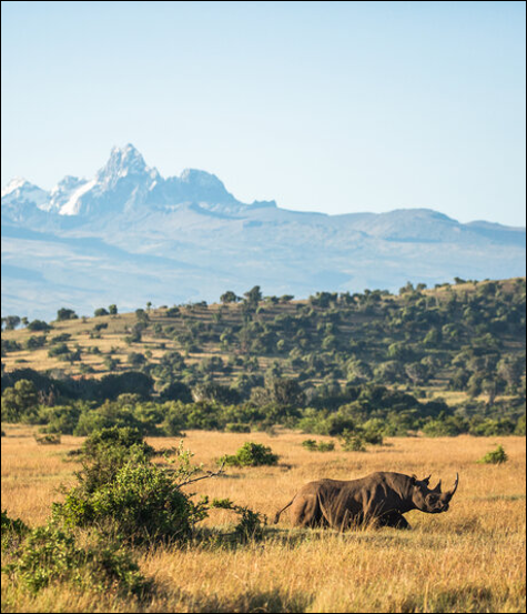 Borana Conservancy