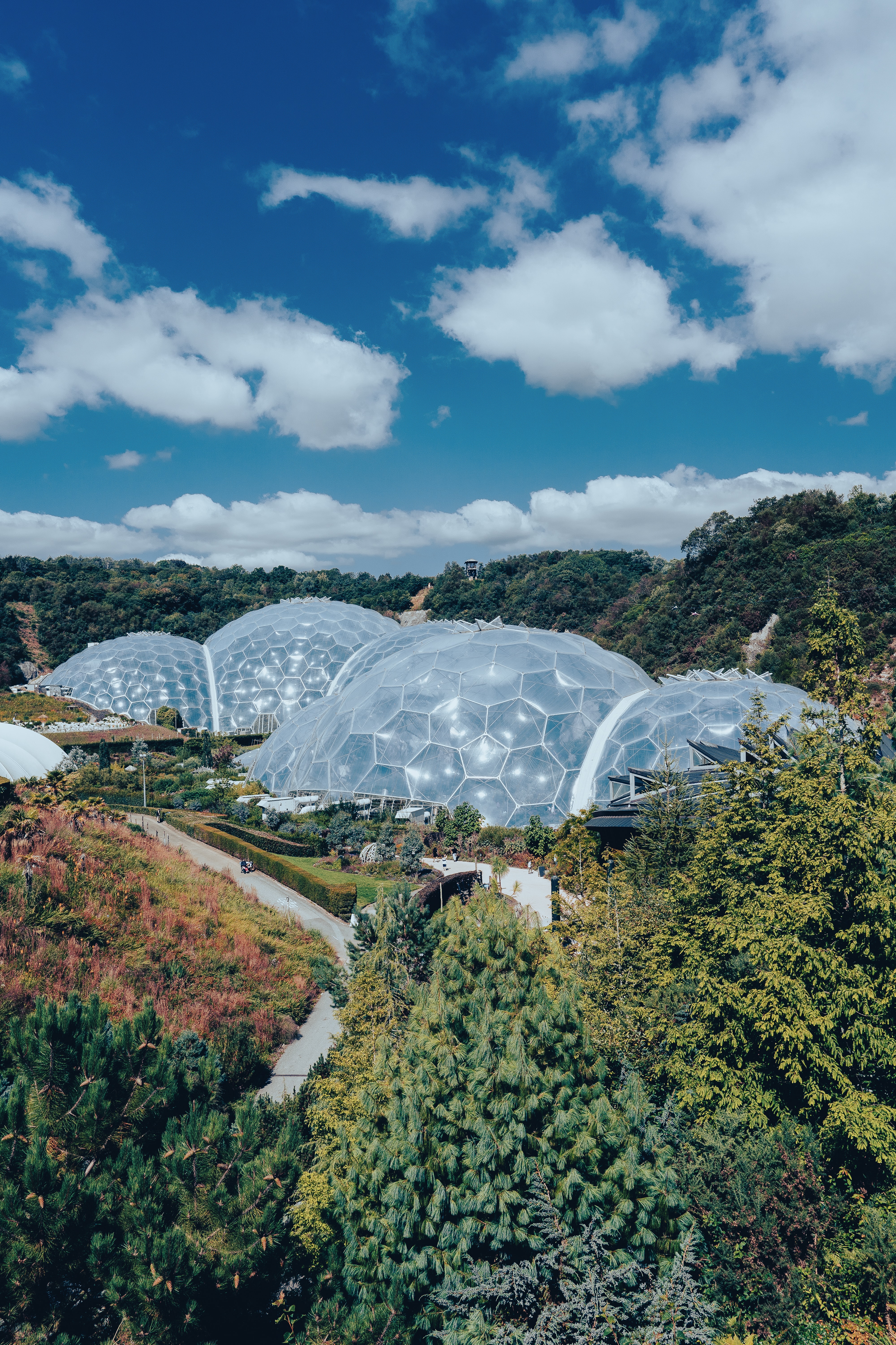 Eden Wildflower Bank